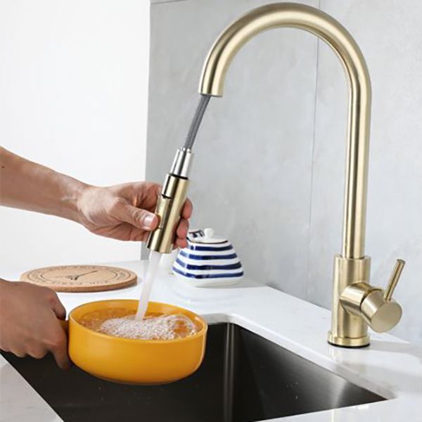 Modern Pull down Sprayer Water Filler One Handle High Arch Kitchen Faucet Clearhalo 'Home Improvement' 'home_improvement' 'home_improvement_kitchen_faucets' 'Kitchen Faucets' 'Kitchen Remodel & Kitchen Fixtures' 'Kitchen Sinks & Faucet Components' 'kitchen_faucets' 1200x1200_169cffdf-6e71-4151-a873-926c5b921158