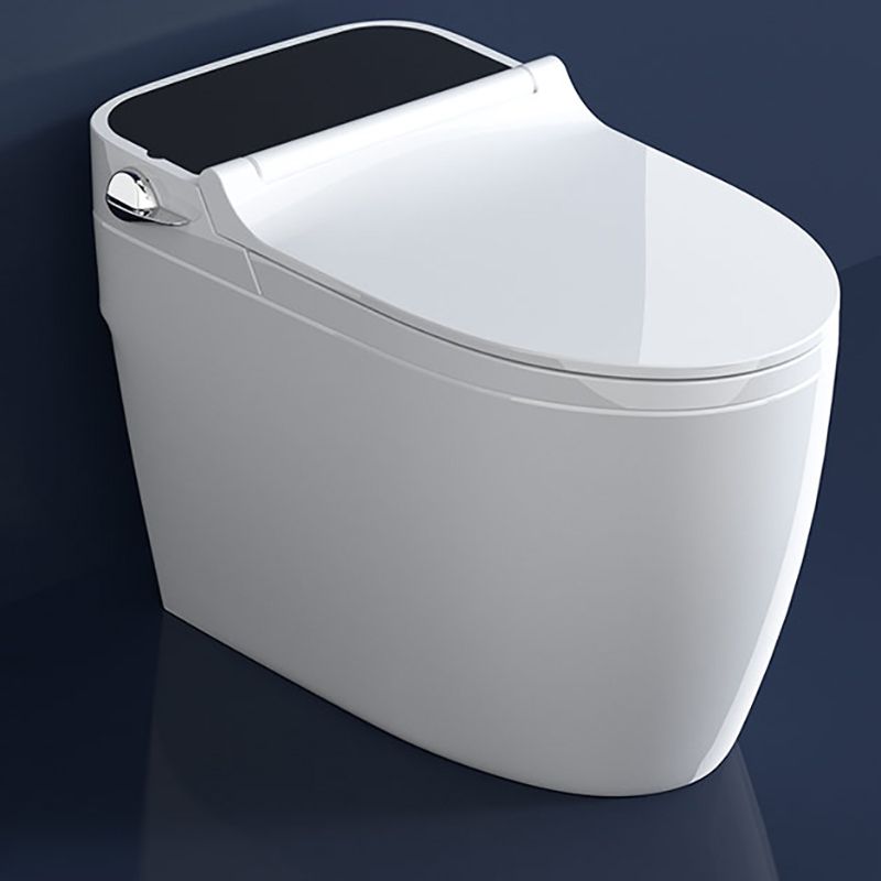 Elongated Floor Mount Bidet Vitreous China Bidet without Water Pressure Control Clearhalo 'Bathroom Remodel & Bathroom Fixtures' 'Bidets' 'Home Improvement' 'home_improvement' 'home_improvement_bidets' 'Toilets & Bidets' 1200x1200_17211463-88e6-4d20-9f60-c73aced46263