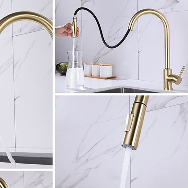 Modern 1-Handle Faucets Stainless Steel Gooseneck with Pull Out Sprayer Faucets Clearhalo 'Home Improvement' 'home_improvement' 'home_improvement_kitchen_faucets' 'Kitchen Faucets' 'Kitchen Remodel & Kitchen Fixtures' 'Kitchen Sinks & Faucet Components' 'kitchen_faucets' 1200x1200_1736965a-2087-4b72-bff7-6b9eebf653b8