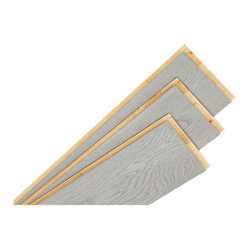 Wooden Rectangle Laminate Floor Rectangle Waterproof Laminate Floor Clearhalo 'Flooring 'Home Improvement' 'home_improvement' 'home_improvement_laminate_flooring' 'Laminate Flooring' 'laminate_flooring' Walls and Ceiling' 1200x1200_17ddfc8f-9b00-4495-93e8-6dd637ff0c18
