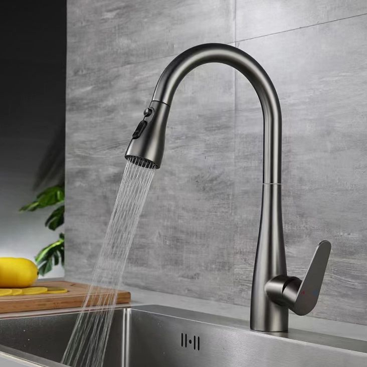 Modern Pot Filler Stainless Steel Pull down Faucet Swivel Spout Kitchen Bar Faucet Clearhalo 'Home Improvement' 'home_improvement' 'home_improvement_kitchen_faucets' 'Kitchen Faucets' 'Kitchen Remodel & Kitchen Fixtures' 'Kitchen Sinks & Faucet Components' 'kitchen_faucets' 1200x1200_197e633d-242b-40ad-80d9-46322df9ee3c