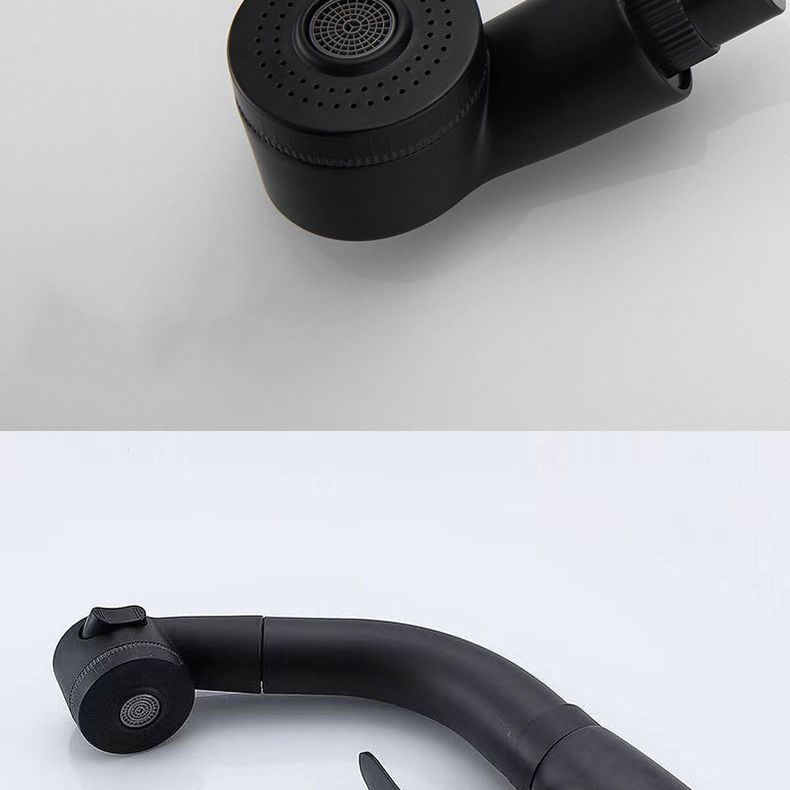 Modern 1-Handle Faucet 1-Hole with Water Dispenser Copper Pull down Faucet Clearhalo 'Home Improvement' 'home_improvement' 'home_improvement_kitchen_faucets' 'Kitchen Faucets' 'Kitchen Remodel & Kitchen Fixtures' 'Kitchen Sinks & Faucet Components' 'kitchen_faucets' 1200x1200_19a0fa47-61e9-4dc0-a6e5-fb7f12df6e08