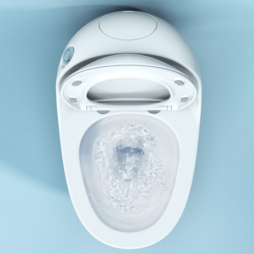 Modern White Siphon Jet Toilet Bowl Floor Mount Flush Toilet with Toilet Seat Clearhalo 'Bathroom Remodel & Bathroom Fixtures' 'Home Improvement' 'home_improvement' 'home_improvement_toilets' 'Toilets & Bidets' 'Toilets' 1200x1200_1a4c3a7f-c533-4270-a778-3c08db67a7fa