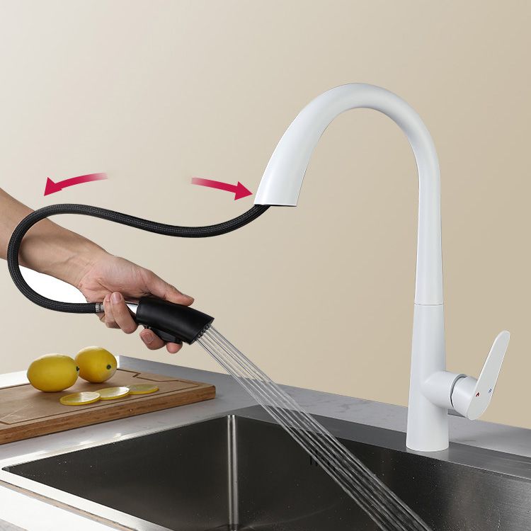 Contemporary High-Arc Kitchen Faucet Swivel Spout with Pull Down Sprayer Clearhalo 'Home Improvement' 'home_improvement' 'home_improvement_kitchen_faucets' 'Kitchen Faucets' 'Kitchen Remodel & Kitchen Fixtures' 'Kitchen Sinks & Faucet Components' 'kitchen_faucets' 1200x1200_1b690c38-cf67-480c-83ea-cde33a673eb8