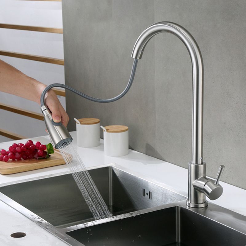 Modern Faucets 1-Handle Pull down with Water Dispenser Standard Kitchen Faucets Clearhalo 'Home Improvement' 'home_improvement' 'home_improvement_kitchen_faucets' 'Kitchen Faucets' 'Kitchen Remodel & Kitchen Fixtures' 'Kitchen Sinks & Faucet Components' 'kitchen_faucets' 1200x1200_1c934a10-5d2b-4b33-8160-58094127e297