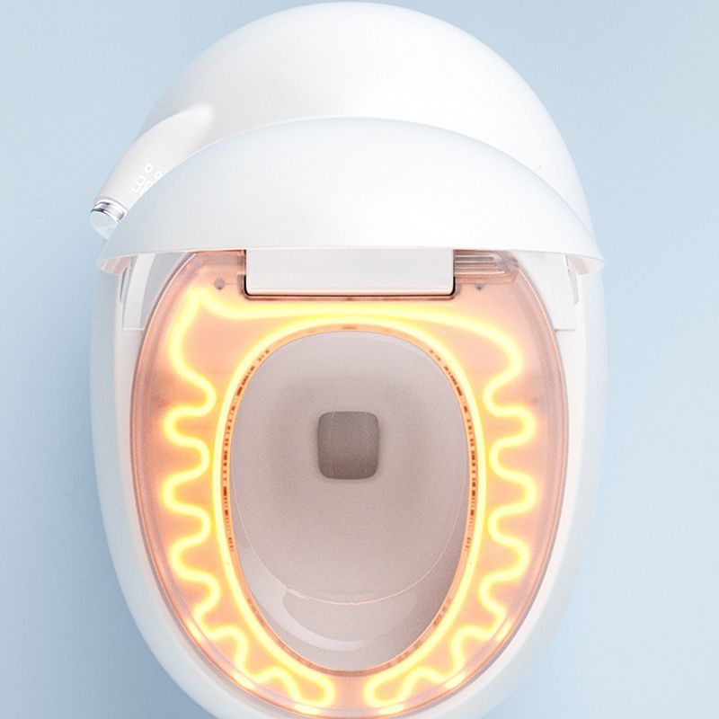 Elongated Floor Mount Bidet Egg Shaped Antimicrobial Smart Bidet Clearhalo 'Bathroom Remodel & Bathroom Fixtures' 'Bidets' 'Home Improvement' 'home_improvement' 'home_improvement_bidets' 'Toilets & Bidets' 1200x1200_1cd12760-ca25-4d9c-972a-23336bd41e93