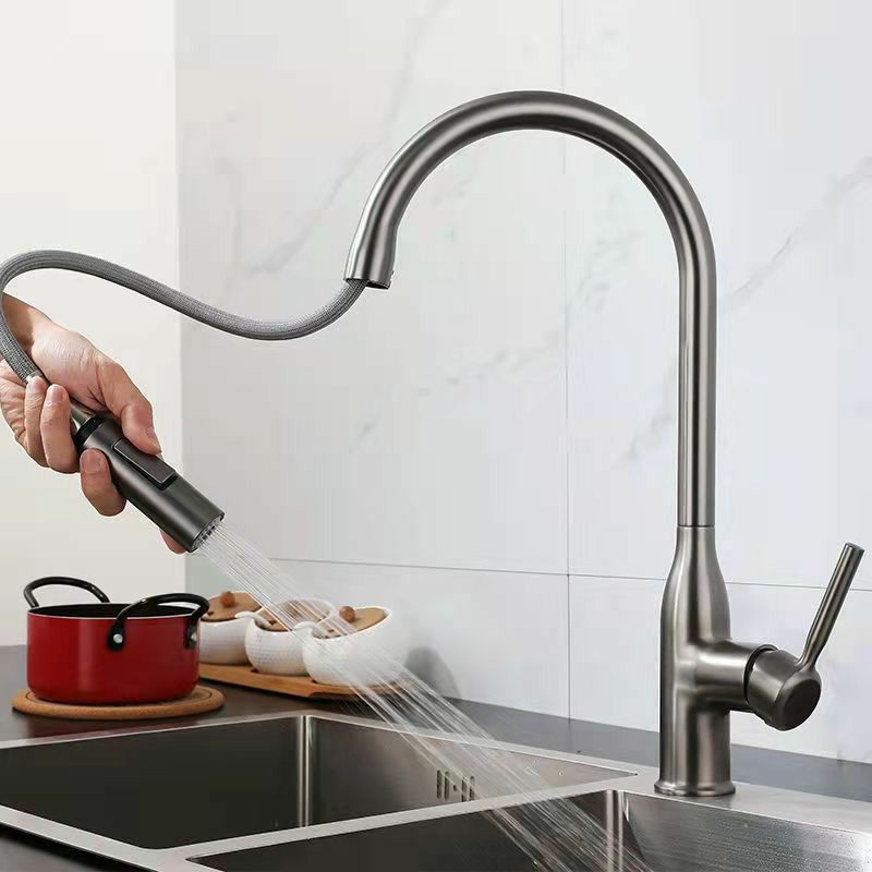 Modern 1-Handle Faucet Pull out Sprayer Standard Kitchen Faucet Clearhalo 'Home Improvement' 'home_improvement' 'home_improvement_kitchen_faucets' 'Kitchen Faucets' 'Kitchen Remodel & Kitchen Fixtures' 'Kitchen Sinks & Faucet Components' 'kitchen_faucets' 1200x1200_1ce7dc4c-3ecc-45af-b8a2-4c75171aba21
