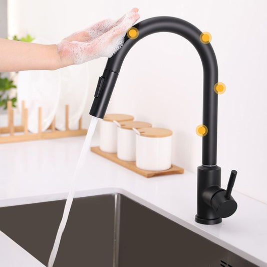 Modern 1-Handle Faucets Stainless Steel Gooseneck with Pull Out Sprayer Faucets Clearhalo 'Home Improvement' 'home_improvement' 'home_improvement_kitchen_faucets' 'Kitchen Faucets' 'Kitchen Remodel & Kitchen Fixtures' 'Kitchen Sinks & Faucet Components' 'kitchen_faucets' 1200x1200_1da1b890-91e9-4413-ad6f-870516b7bd98