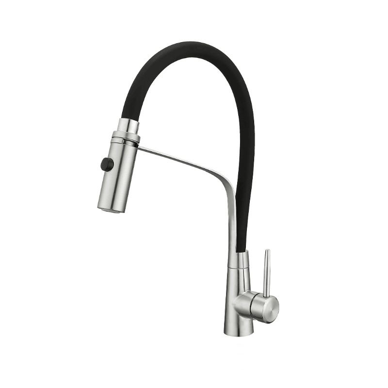 1-Handle 2-Function Kitchen Faucet Pulldown Kitchen Sink Faucet with Sprayer and Handles Clearhalo 'Home Improvement' 'home_improvement' 'home_improvement_kitchen_faucets' 'Kitchen Faucets' 'Kitchen Remodel & Kitchen Fixtures' 'Kitchen Sinks & Faucet Components' 'kitchen_faucets' 1200x1200_1da8f9ac-b51d-4a3b-af19-559075ab0e8f