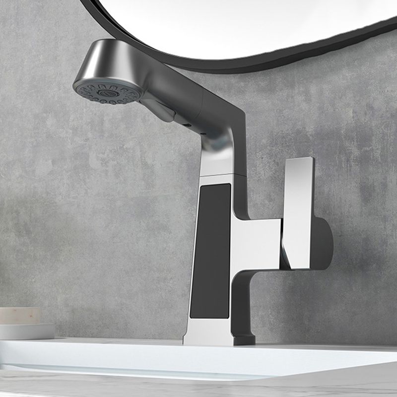 Modern Faucets Black and Silver 1-Handle 1-Hole Copper with Pull Out Sprayer Faucets Clearhalo 'Home Improvement' 'home_improvement' 'home_improvement_kitchen_faucets' 'Kitchen Faucets' 'Kitchen Remodel & Kitchen Fixtures' 'Kitchen Sinks & Faucet Components' 'kitchen_faucets' 1200x1200_1dae76bc-de5b-40ac-aad6-4716e45db113