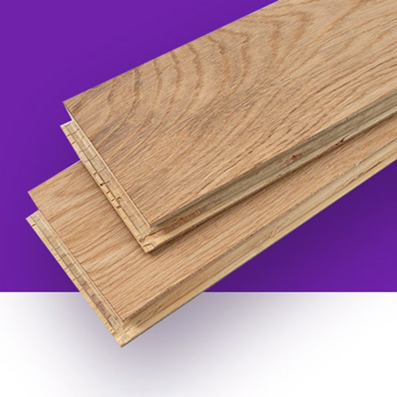 Modern Laminate Flooring Wood Scratch Resistant Click-Lock Laminate Clearhalo 'Flooring 'Home Improvement' 'home_improvement' 'home_improvement_laminate_flooring' 'Laminate Flooring' 'laminate_flooring' Walls and Ceiling' 1200x1200_1e474eb8-55bb-408c-a863-9c0d5504c197
