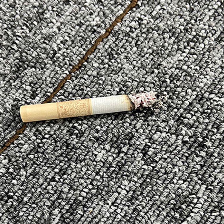 Modern Carpet Floor Tile Level Loop Self Adhesive Stain Resistant Carpet Tiles Clearhalo 'Carpet Tiles & Carpet Squares' 'carpet_tiles_carpet_squares' 'Flooring 'Home Improvement' 'home_improvement' 'home_improvement_carpet_tiles_carpet_squares' Walls and Ceiling' 1200x1200_1ef968d6-641d-44ee-9293-f497dd1f5133