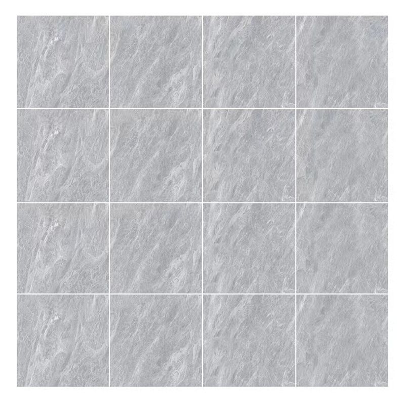 Glazed Square Floor Tile Porcelain Floor Tile with Wooden Pattern Clearhalo 'Floor Tiles & Wall Tiles' 'floor_tiles_wall_tiles' 'Flooring 'Home Improvement' 'home_improvement' 'home_improvement_floor_tiles_wall_tiles' Walls and Ceiling' 1200x1200_1f5daa2f-4dd5-4726-9591-e412be3f8cbc