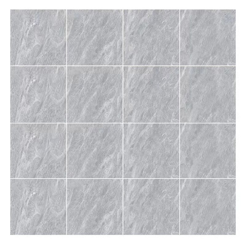 Glazed Square Floor Tile Porcelain Floor Tile with Wooden Pattern Clearhalo 'Floor Tiles & Wall Tiles' 'floor_tiles_wall_tiles' 'Flooring 'Home Improvement' 'home_improvement' 'home_improvement_floor_tiles_wall_tiles' Walls and Ceiling' 1200x1200_1f5daa2f-4dd5-4726-9591-e412be3f8cbc