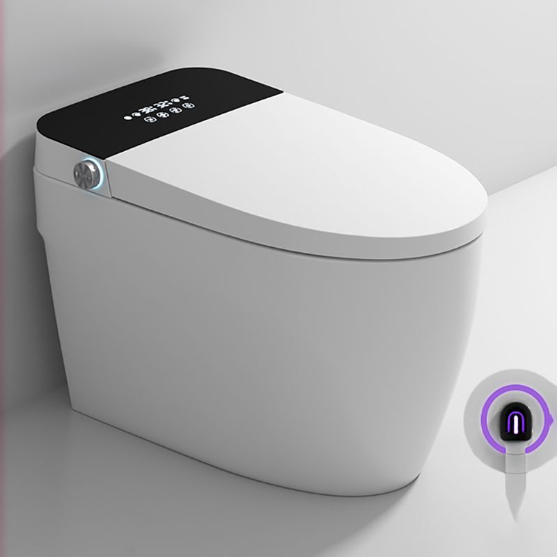 Vitreous China Bidets Elongated All-in-One Bidet with Heated Seat Clearhalo 'Bathroom Remodel & Bathroom Fixtures' 'Bidets' 'Home Improvement' 'home_improvement' 'home_improvement_bidets' 'Toilets & Bidets' 1200x1200_1f63191b-a4b3-456b-ba87-63467c137919