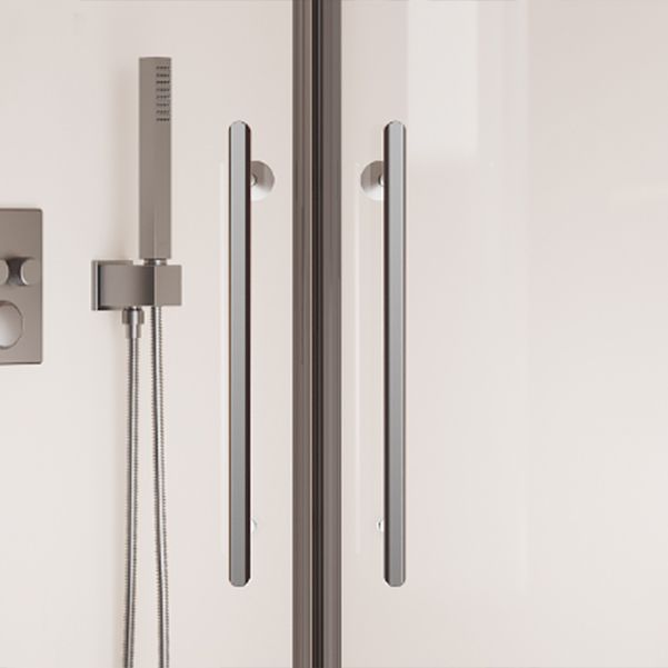 Double Sliding Easy Clean Glass Shower Stall Clear Framed Shower Enclosure Clearhalo 'Bathroom Remodel & Bathroom Fixtures' 'Home Improvement' 'home_improvement' 'home_improvement_shower_stalls_enclosures' 'Shower Stalls & Enclosures' 'shower_stalls_enclosures' 'Showers & Bathtubs' 1200x1200_1f681d4f-4f71-45be-a440-6bd8d7d1172b