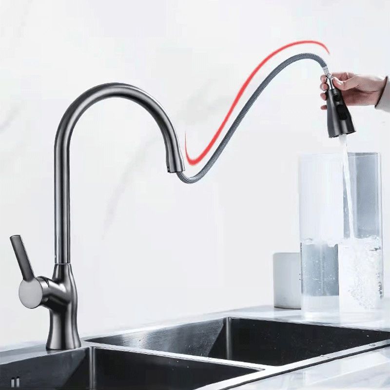 1-Hole 1-Handle Faucet Pull out Sprayer Standard Kitchen Faucet Clearhalo 'Home Improvement' 'home_improvement' 'home_improvement_kitchen_faucets' 'Kitchen Faucets' 'Kitchen Remodel & Kitchen Fixtures' 'Kitchen Sinks & Faucet Components' 'kitchen_faucets' 1200x1200_1f92fa20-d27b-496c-ab1c-e104d07f0847