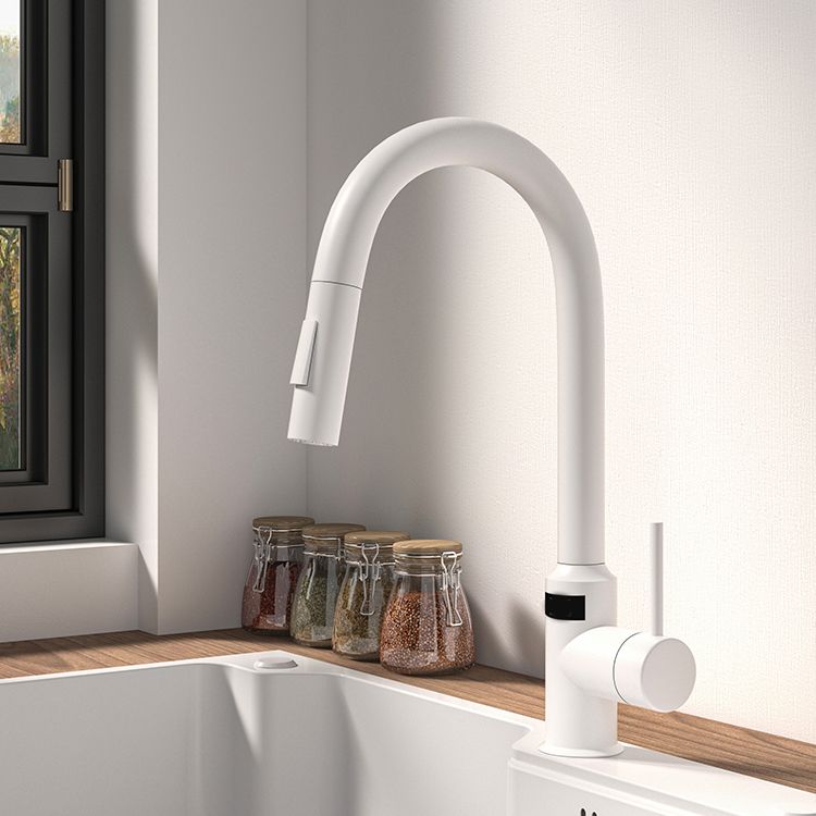 Modern Standard Bar Faucet 1-Handle with Pull down Sprayer Kitchen Faucet Clearhalo 'Home Improvement' 'home_improvement' 'home_improvement_kitchen_faucets' 'Kitchen Faucets' 'Kitchen Remodel & Kitchen Fixtures' 'Kitchen Sinks & Faucet Components' 'kitchen_faucets' 1200x1200_1f9ec8b6-2ba0-4e59-9d1d-4449f95eed43
