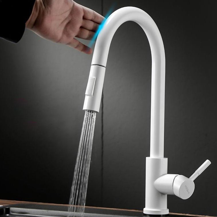 Modern Style Retractable Kitchen Faucet Stainless Steel 1-Handle Kitchen Faucet Clearhalo 'Home Improvement' 'home_improvement' 'home_improvement_kitchen_faucets' 'Kitchen Faucets' 'Kitchen Remodel & Kitchen Fixtures' 'Kitchen Sinks & Faucet Components' 'kitchen_faucets' 1200x1200_1febd971-6202-4182-9a00-ef5304365b8a