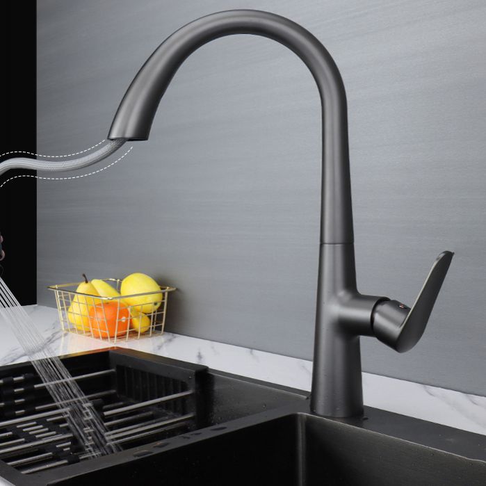 Modern Pot Filler Kitchen Faucet Brass Lever Handles Pull out Faucet Kitchen Faucet Clearhalo 'Home Improvement' 'home_improvement' 'home_improvement_kitchen_faucets' 'Kitchen Faucets' 'Kitchen Remodel & Kitchen Fixtures' 'Kitchen Sinks & Faucet Components' 'kitchen_faucets' 1200x1200_2007d63b-22be-40c9-9330-d1cf0b8f24c2