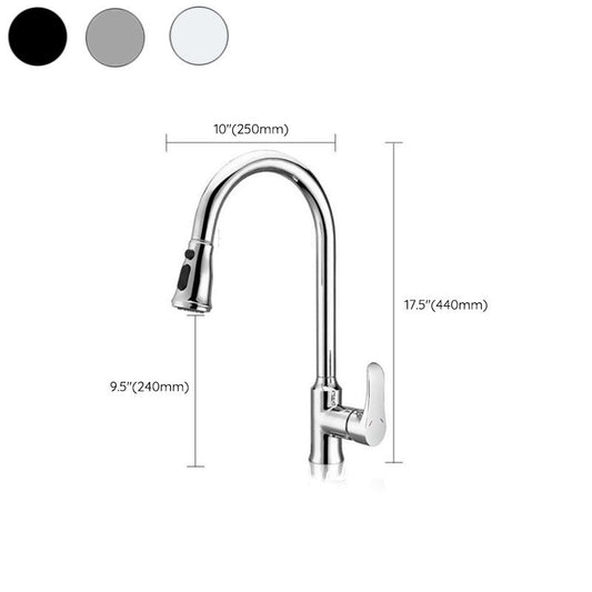 Gooseneck 1-Handle Faucet Copper with Pull out Sprayer with Water Dispenser Faucet Clearhalo 'Home Improvement' 'home_improvement' 'home_improvement_kitchen_faucets' 'Kitchen Faucets' 'Kitchen Remodel & Kitchen Fixtures' 'Kitchen Sinks & Faucet Components' 'kitchen_faucets' 1200x1200_20a0bb58-f32d-49d6-bce6-199c91bf3b3b