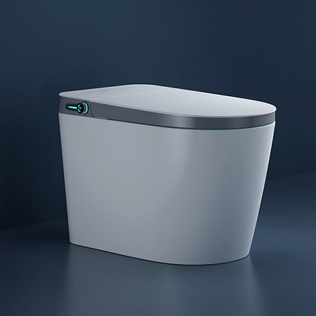 Elongated Floor Mount Bidet All-In-One Bidet with Heated Seat Clearhalo 'Bathroom Remodel & Bathroom Fixtures' 'Bidets' 'Home Improvement' 'home_improvement' 'home_improvement_bidets' 'Toilets & Bidets' 1200x1200_20c07bca-cce9-4d2c-bf83-2ec24550e655