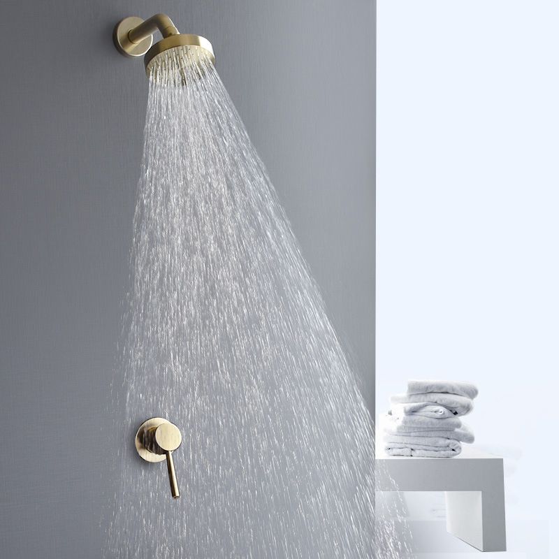 Stainless Steel Shower Combo Round Fixed Shower Head with Shower Arm Clearhalo 'Bathroom Remodel & Bathroom Fixtures' 'Home Improvement' 'home_improvement' 'home_improvement_shower_heads' 'Shower Heads' 'shower_heads' 'Showers & Bathtubs Plumbing' 'Showers & Bathtubs' 1200x1200_20d0e74d-96ce-40ad-a16c-0a652d670091