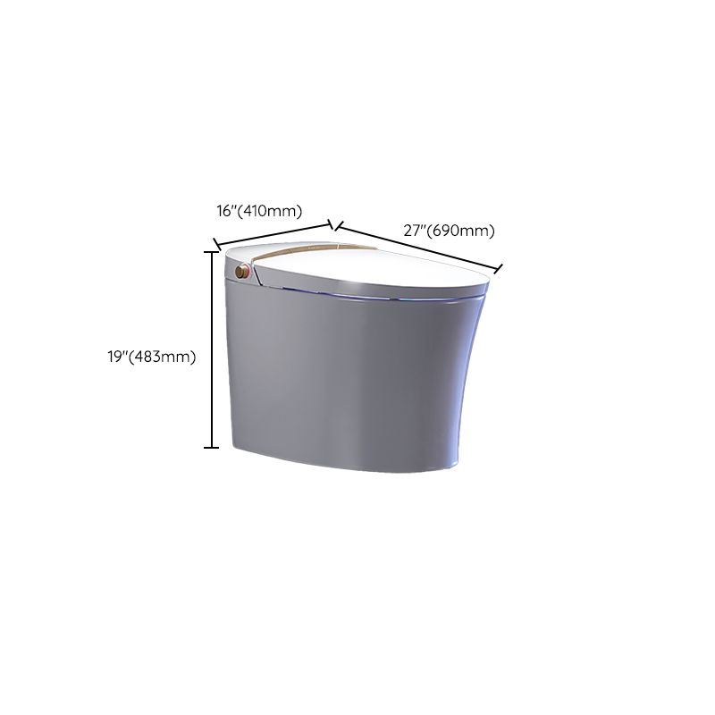 Antimicrobial Floor Mount Bidet Elongated All-In-One Toilet Seat Bidet with Heated Seat Clearhalo 'Bathroom Remodel & Bathroom Fixtures' 'Bidets' 'Home Improvement' 'home_improvement' 'home_improvement_bidets' 'Toilets & Bidets' 1200x1200_2272e139-08c6-4055-b0f8-37a7941511ee