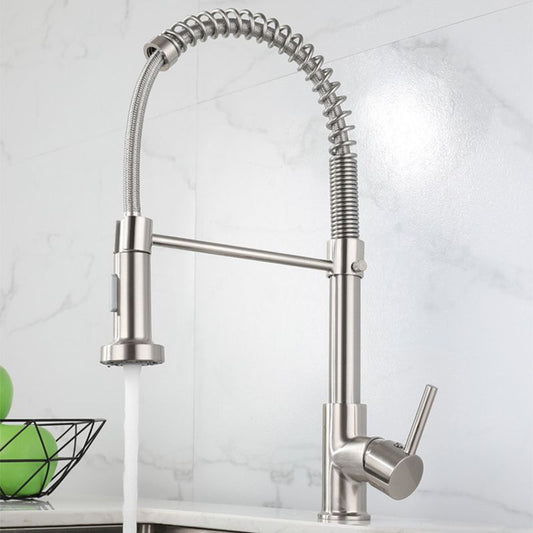Modern Farmhouse Kitchen Faucet Pull down Single Handle 304 Stainless Steel Faucet Clearhalo 'Home Improvement' 'home_improvement' 'home_improvement_kitchen_faucets' 'Kitchen Faucets' 'Kitchen Remodel & Kitchen Fixtures' 'Kitchen Sinks & Faucet Components' 'kitchen_faucets' 1200x1200_228dd2a6-bcf6-41c0-b740-ea5e67f7d31e