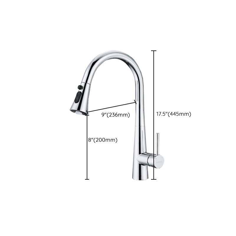 Traditional Kitchen Faucet Solid Color Standard Kitchen Faucet Clearhalo 'Home Improvement' 'home_improvement' 'home_improvement_kitchen_faucets' 'Kitchen Faucets' 'Kitchen Remodel & Kitchen Fixtures' 'Kitchen Sinks & Faucet Components' 'kitchen_faucets' 1200x1200_234661bf-35e0-49ec-a4a7-2c09043173b3