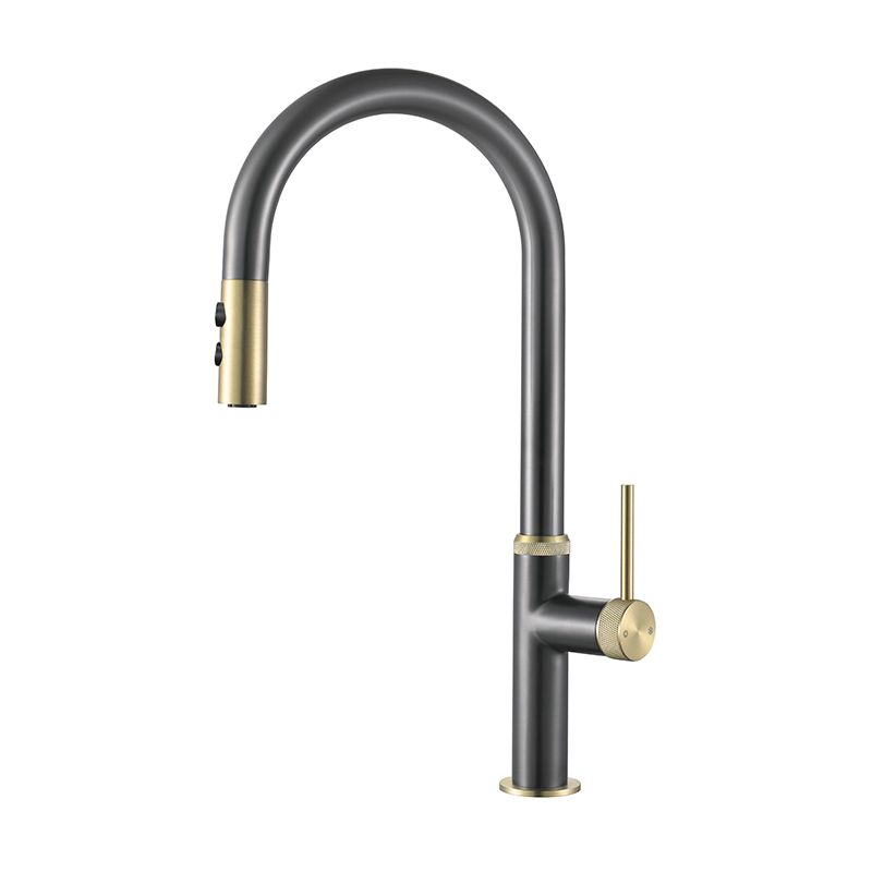 Touch Sensor Kitchen Faucet Swivel Spout with Pull Down Sprayer Clearhalo 'Home Improvement' 'home_improvement' 'home_improvement_kitchen_faucets' 'Kitchen Faucets' 'Kitchen Remodel & Kitchen Fixtures' 'Kitchen Sinks & Faucet Components' 'kitchen_faucets' 1200x1200_23c103ee-6e5e-4565-866f-34afbe3b2fff