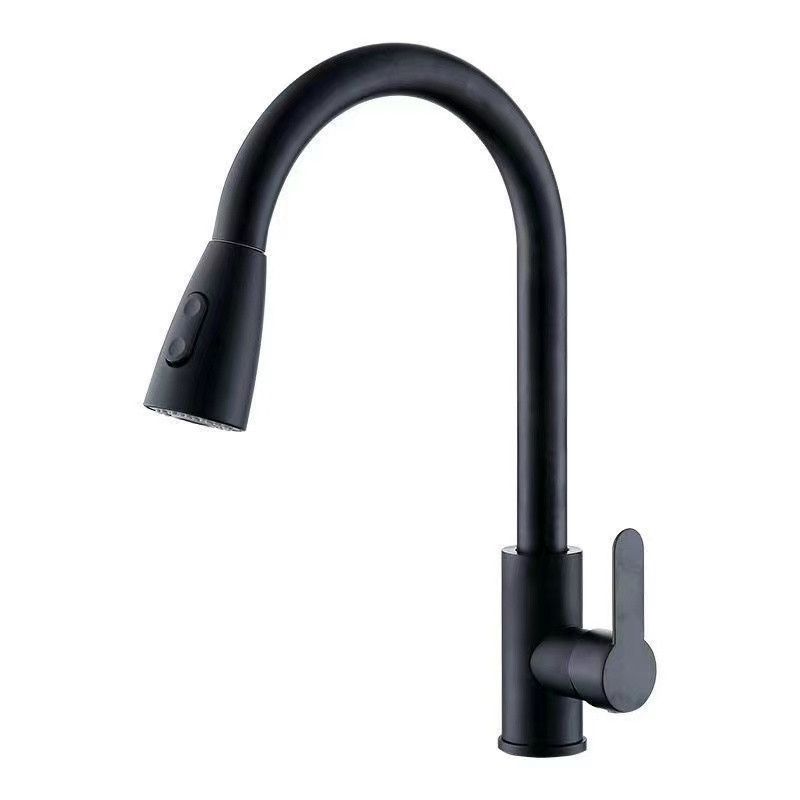 Modern 1-Handle 1-Hole Faucet Stainless Steel with Pull out Sprayer Faucet Clearhalo 'Home Improvement' 'home_improvement' 'home_improvement_kitchen_faucets' 'Kitchen Faucets' 'Kitchen Remodel & Kitchen Fixtures' 'Kitchen Sinks & Faucet Components' 'kitchen_faucets' 1200x1200_252a5e69-ddeb-471d-a9cb-bd50d0004d72