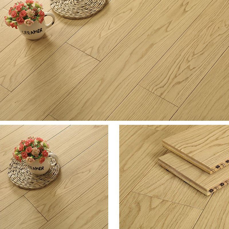 Modern Solid Wood Laminate Flooring Scratch Resistant Laminate Plank Flooring Clearhalo 'Flooring 'Home Improvement' 'home_improvement' 'home_improvement_laminate_flooring' 'Laminate Flooring' 'laminate_flooring' Walls and Ceiling' 1200x1200_253db4e9-8fb0-4e63-80a4-408e3fd6526f