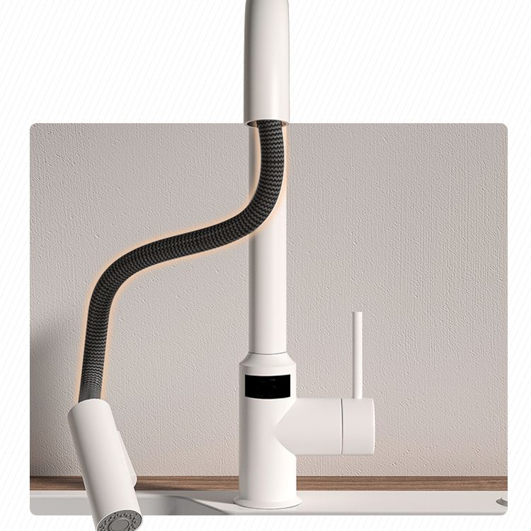 Modern Standard Bar Faucet 1-Handle with Pull down Sprayer Kitchen Faucet Clearhalo 'Home Improvement' 'home_improvement' 'home_improvement_kitchen_faucets' 'Kitchen Faucets' 'Kitchen Remodel & Kitchen Fixtures' 'Kitchen Sinks & Faucet Components' 'kitchen_faucets' 1200x1200_255f9e38-35ac-4b01-852b-2b13584aec49