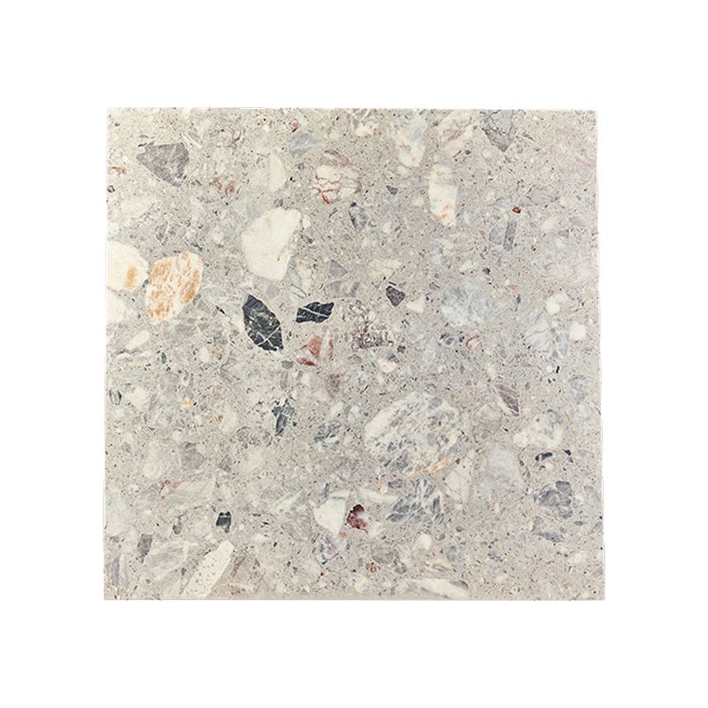 Contemporary Square Terrazzo Tiles Textured Wall & Floor Tile Clearhalo 'Floor Tiles & Wall Tiles' 'floor_tiles_wall_tiles' 'Flooring 'Home Improvement' 'home_improvement' 'home_improvement_floor_tiles_wall_tiles' Walls and Ceiling' 1200x1200_25ed8f0b-f085-4eb9-af37-91b131c26ffc