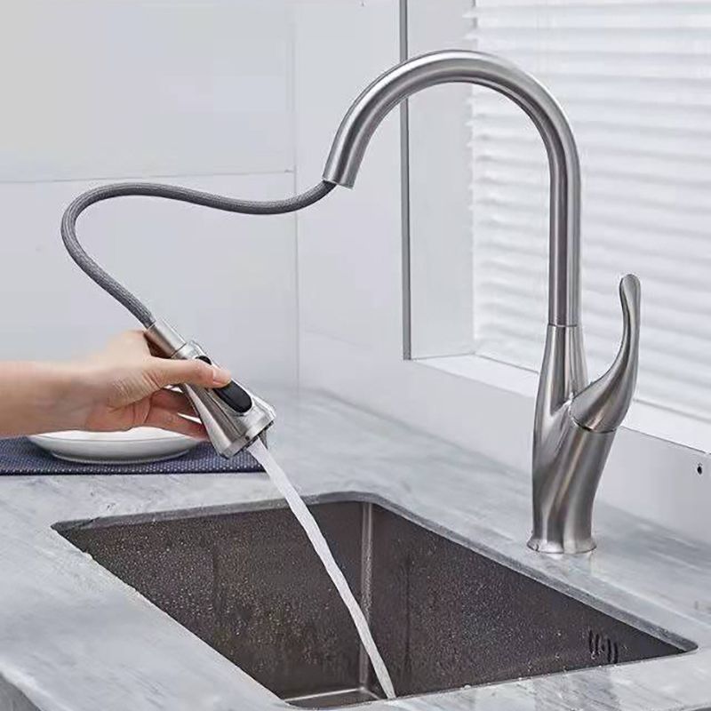 Modern 1-Handle Faucet Black/Silver Copper with Pull out Sprayer Faucet Clearhalo 'Home Improvement' 'home_improvement' 'home_improvement_kitchen_faucets' 'Kitchen Faucets' 'Kitchen Remodel & Kitchen Fixtures' 'Kitchen Sinks & Faucet Components' 'kitchen_faucets' 1200x1200_261fbdbd-1069-4364-b66e-a1d4d9fe25aa