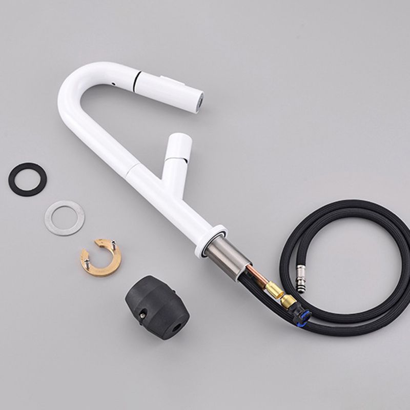 High-Arc Modern Style Bathroom Faucet Single Handle Pull-out Faucet Clearhalo 'Home Improvement' 'home_improvement' 'home_improvement_kitchen_faucets' 'Kitchen Faucets' 'Kitchen Remodel & Kitchen Fixtures' 'Kitchen Sinks & Faucet Components' 'kitchen_faucets' 1200x1200_27154118-9baf-4398-9a88-7e93f24e3d30