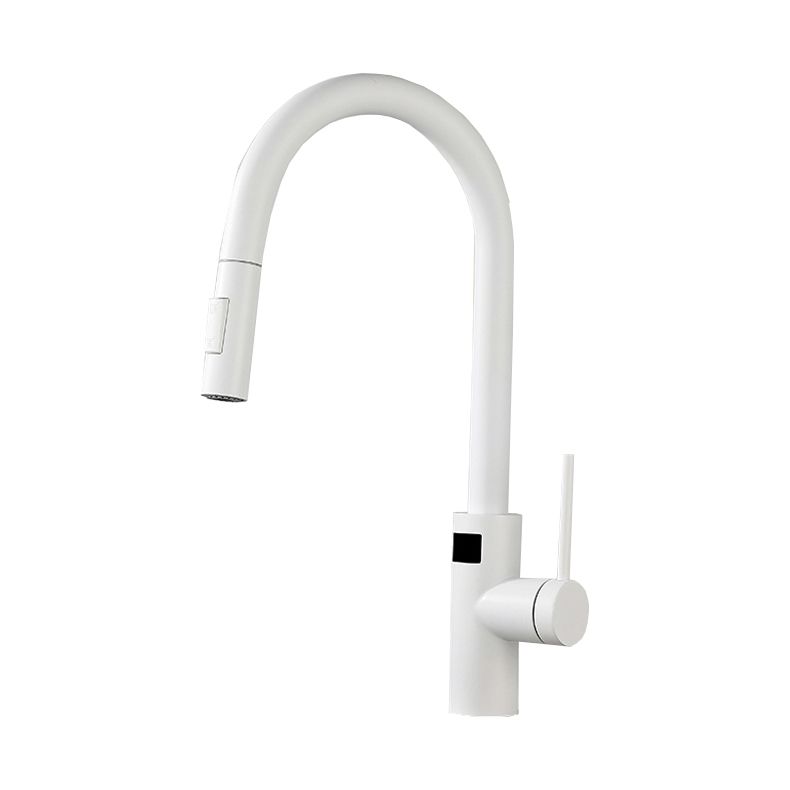 Swivel Spout Kitchen Faucet Touch Sensor 304 Stainless Steel with Pull Down Sprayer Clearhalo 'Home Improvement' 'home_improvement' 'home_improvement_kitchen_faucets' 'Kitchen Faucets' 'Kitchen Remodel & Kitchen Fixtures' 'Kitchen Sinks & Faucet Components' 'kitchen_faucets' 1200x1200_27915315-7174-496d-804a-0b502f0a6e31