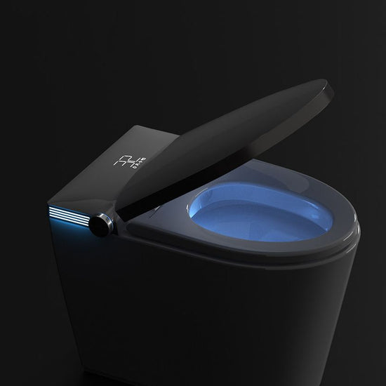 Modern All-In-One Toilet Bowl Siphon Jet Toilet with Soft-Close Seat ...