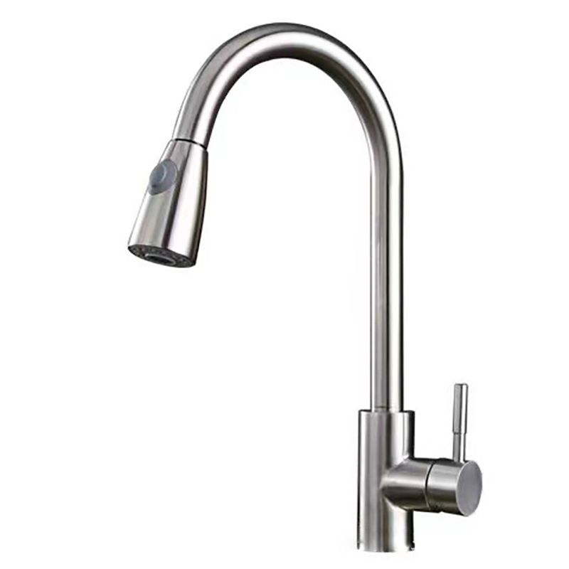 Modern 1-Handle Faucet Stainless Steel Pull down Standard Kitchen Faucet Clearhalo 'Home Improvement' 'home_improvement' 'home_improvement_kitchen_faucets' 'Kitchen Faucets' 'Kitchen Remodel & Kitchen Fixtures' 'Kitchen Sinks & Faucet Components' 'kitchen_faucets' 1200x1200_2848d257-49f2-47a2-ba23-166a840d0dbf
