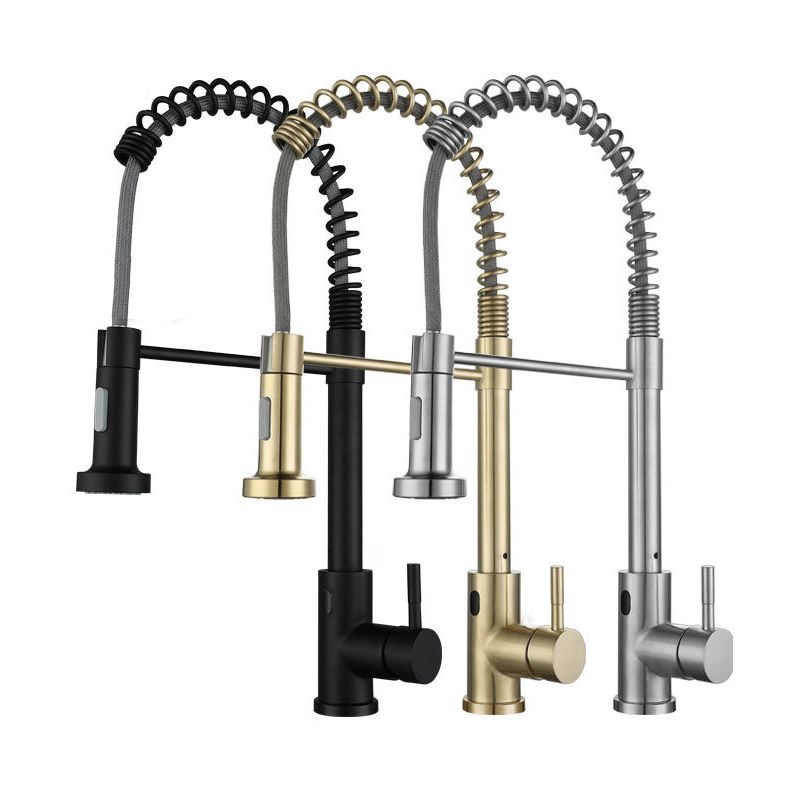 Modern Farmhouse Spring Spout One Handle Kitchen Faucet High Arch Water Filler Clearhalo 'Home Improvement' 'home_improvement' 'home_improvement_kitchen_faucets' 'Kitchen Faucets' 'Kitchen Remodel & Kitchen Fixtures' 'Kitchen Sinks & Faucet Components' 'kitchen_faucets' 1200x1200_29173839-04a5-4c7b-868e-43a503ce8a3a