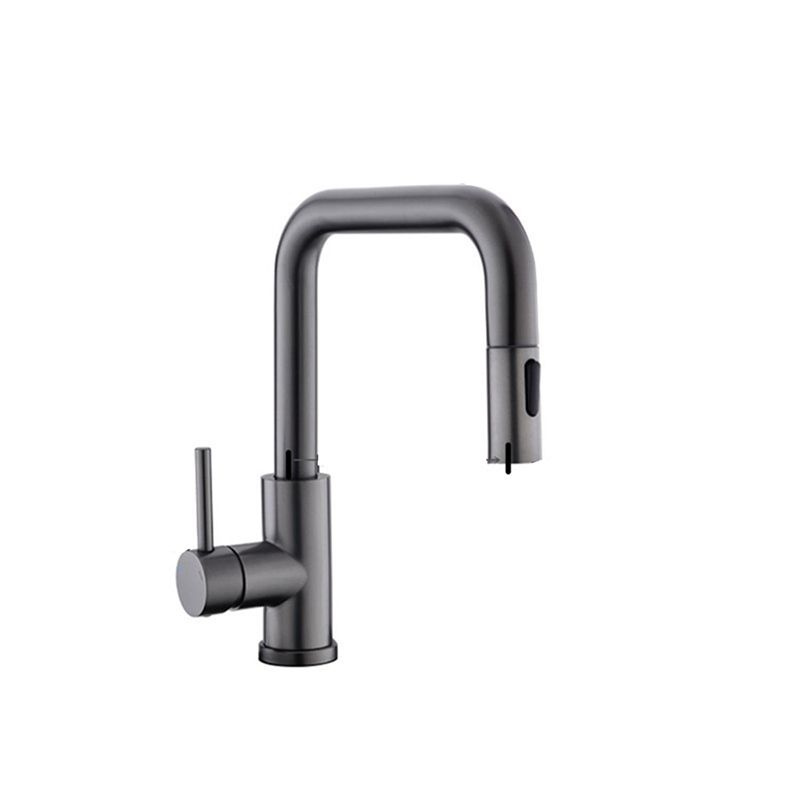 Modern Pull Out Single Rotary Switch Kitchen Faucet High Profile Faucet Clearhalo 'Home Improvement' 'home_improvement' 'home_improvement_kitchen_faucets' 'Kitchen Faucets' 'Kitchen Remodel & Kitchen Fixtures' 'Kitchen Sinks & Faucet Components' 'kitchen_faucets' 1200x1200_2a96bb16-49ce-4a68-b819-0ff752567524