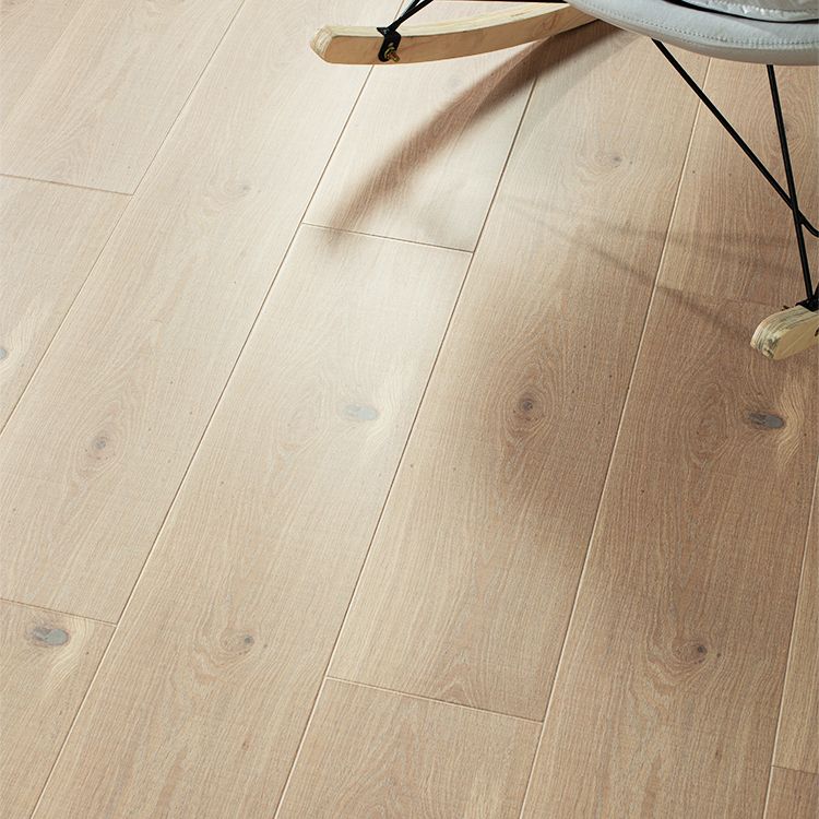 Classics Laminate Flooring in Natural, Click-Lock, Waterproof, 12mm Clearhalo 'Flooring 'Home Improvement' 'home_improvement' 'home_improvement_laminate_flooring' 'Laminate Flooring' 'laminate_flooring' Walls and Ceiling' 1200x1200_2b4da0eb-1f76-45df-a6ce-5c3055ab83b6