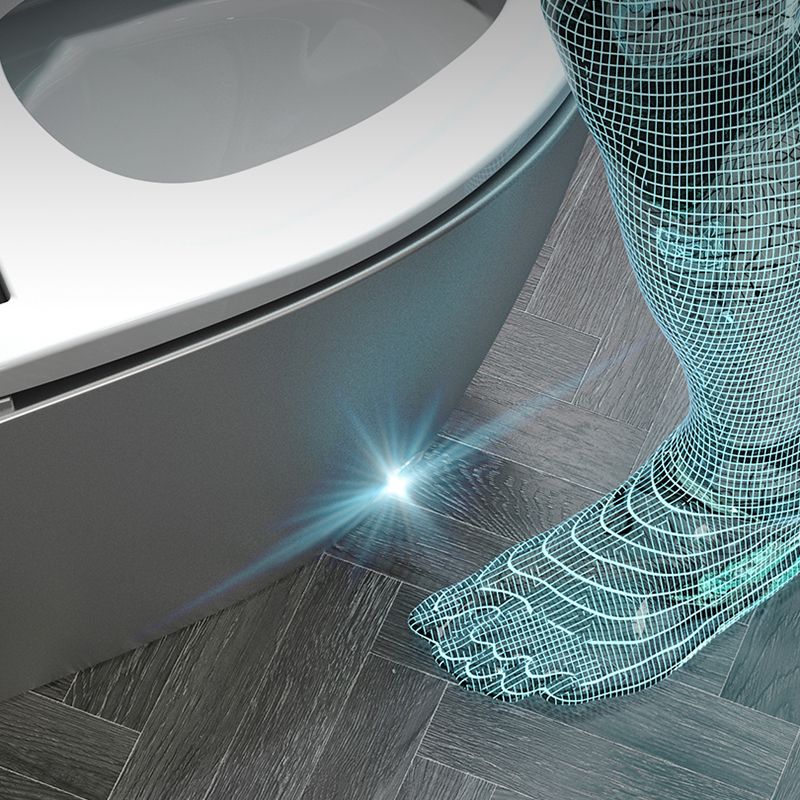 Stain Resistant Smart Toilet Deodorizing Elongated Floor Mount Bidet Clearhalo 'Bathroom Remodel & Bathroom Fixtures' 'Bidets' 'Home Improvement' 'home_improvement' 'home_improvement_bidets' 'Toilets & Bidets' 1200x1200_2bc3bf9b-5227-4eca-8a28-a4be258bc785