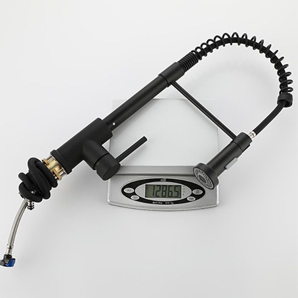 Modern Spring Spout Faucets 1-Handle 1-Hole with Water Dispenser Standard Kitchen Faucets Clearhalo 'Home Improvement' 'home_improvement' 'home_improvement_kitchen_faucets' 'Kitchen Faucets' 'Kitchen Remodel & Kitchen Fixtures' 'Kitchen Sinks & Faucet Components' 'kitchen_faucets' 1200x1200_2c7c0230-dcfb-4203-82f0-358176499449