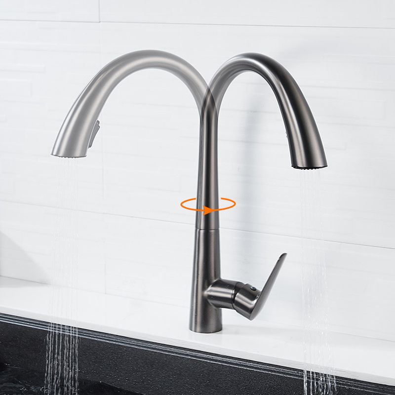 Single Handle Kitchen Faucet Pull Down Faucet with Pull out Sprayer Clearhalo 'Home Improvement' 'home_improvement' 'home_improvement_kitchen_faucets' 'Kitchen Faucets' 'Kitchen Remodel & Kitchen Fixtures' 'Kitchen Sinks & Faucet Components' 'kitchen_faucets' 1200x1200_2c9952c0-f165-4253-8a02-f94802fe6109