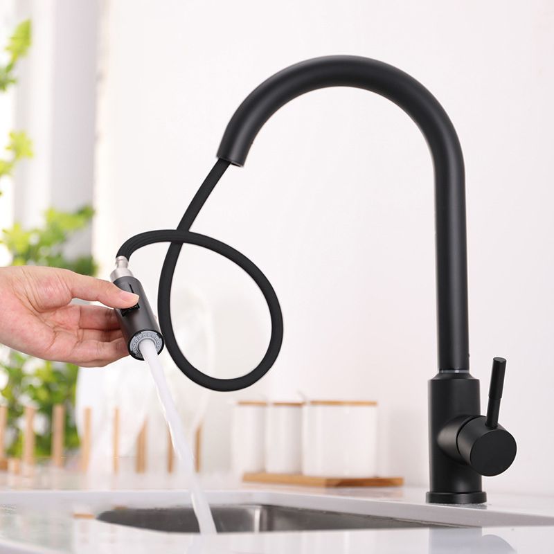 Modern 1-Handle Faucets Stainless Steel Gooseneck with Pull Out Sprayer Faucets Clearhalo 'Home Improvement' 'home_improvement' 'home_improvement_kitchen_faucets' 'Kitchen Faucets' 'Kitchen Remodel & Kitchen Fixtures' 'Kitchen Sinks & Faucet Components' 'kitchen_faucets' 1200x1200_2ca055c0-5d26-4bd6-8edb-70568330f582