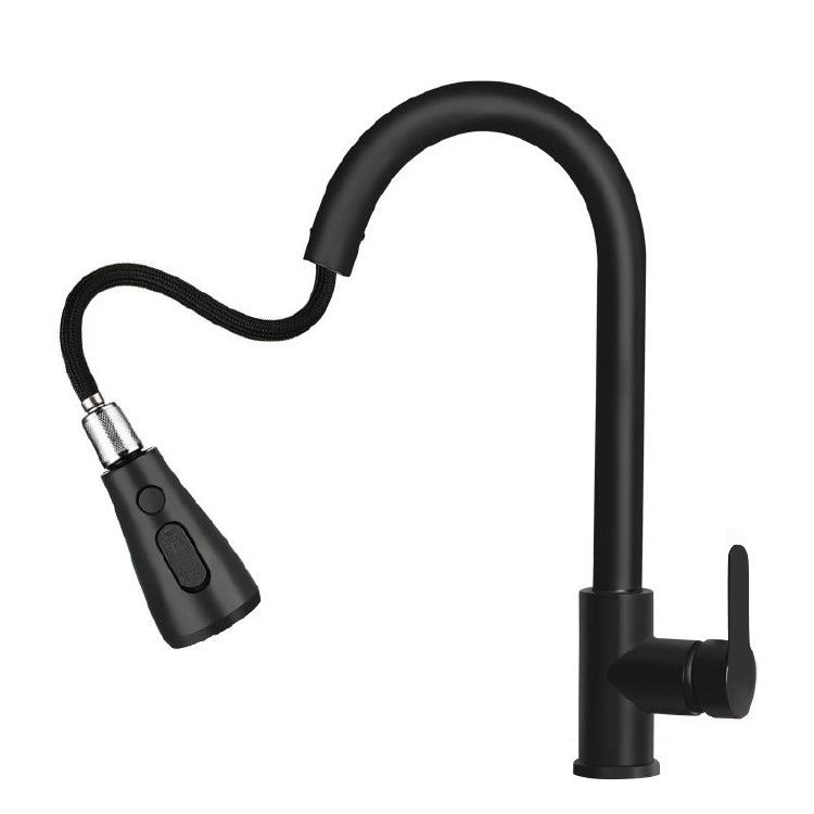 Modern Style Kitchen Faucet Stainless Steel 1-Handle Retractable Kitchen Faucet Clearhalo 'Home Improvement' 'home_improvement' 'home_improvement_kitchen_faucets' 'Kitchen Faucets' 'Kitchen Remodel & Kitchen Fixtures' 'Kitchen Sinks & Faucet Components' 'kitchen_faucets' 1200x1200_2ccbe0b5-e8f5-4491-a52b-9d7939fccf60