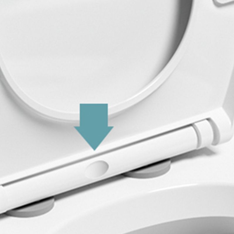 Siphon Jet Modern Toilet All In One Floor Mounted Urine Toilet Clearhalo 'Bathroom Remodel & Bathroom Fixtures' 'Home Improvement' 'home_improvement' 'home_improvement_toilets' 'Toilets & Bidets' 'Toilets' 1200x1200_2d05e9a3-3b02-4340-9792-bd7df5d1d856