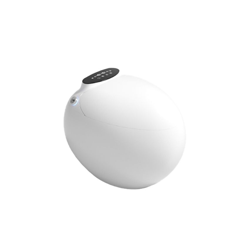 Contemporary Floor Mount Toilet Bowl Heated Seat Included Urine Toilet for Washroom Clearhalo 'Bathroom Remodel & Bathroom Fixtures' 'Home Improvement' 'home_improvement' 'home_improvement_toilets' 'Toilets & Bidets' 'Toilets' 1200x1200_2d73f34b-57ff-4358-942d-5c4f415e31ae